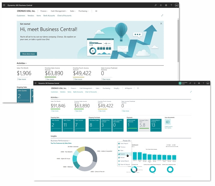 Business Central Licenties
